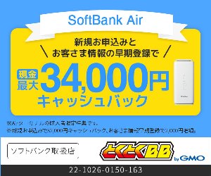 ソフトバンクエアー（SoftBank Air)
